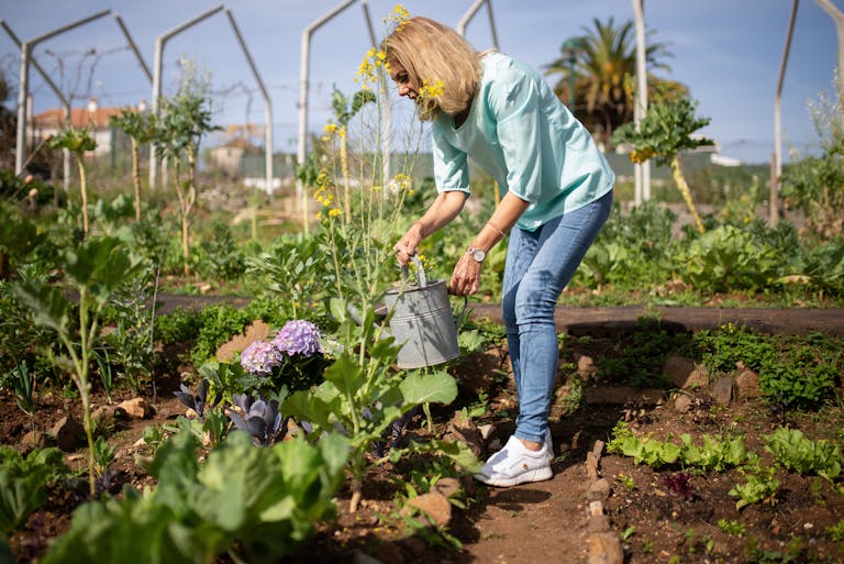 A senior woman tends to her vegetable garden with a watering can under the bright day sky. engrais hydroponique