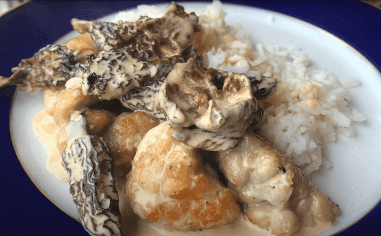 ris de veau aux morilles et son accompagnement