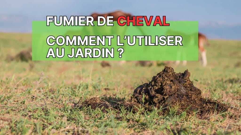 Utiliser Fumier De Cheval