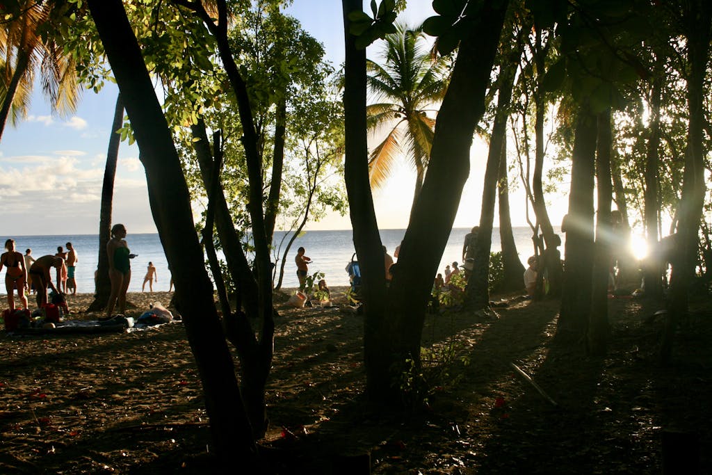 Silhouettes of people enjoying a sunset on a Martinique beach framed by lush trees.