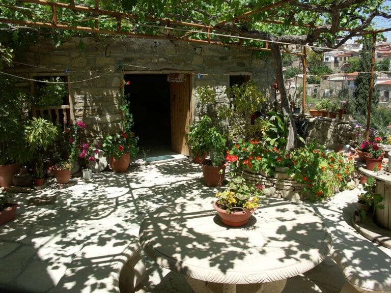 ombrager faire de l'ombre avec des plantes sur une terrasse écrasée de soleil