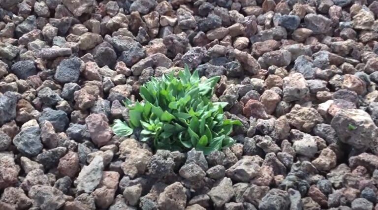 avantages et inconvénients du pouzzolane