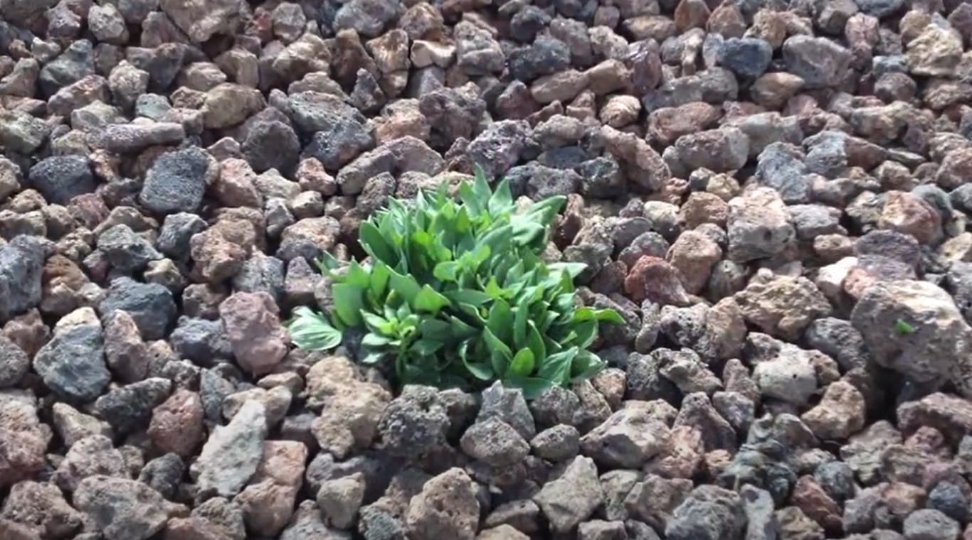 avantages et inconvénients du pouzzolane