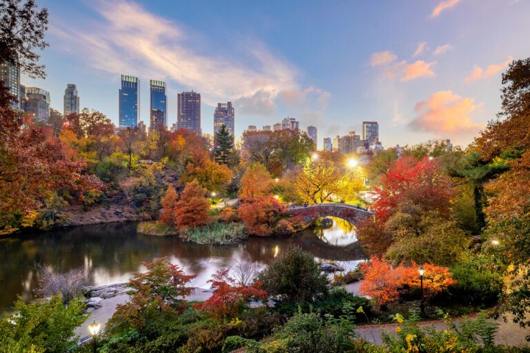 New York selon les saisons : guide des activités par passions