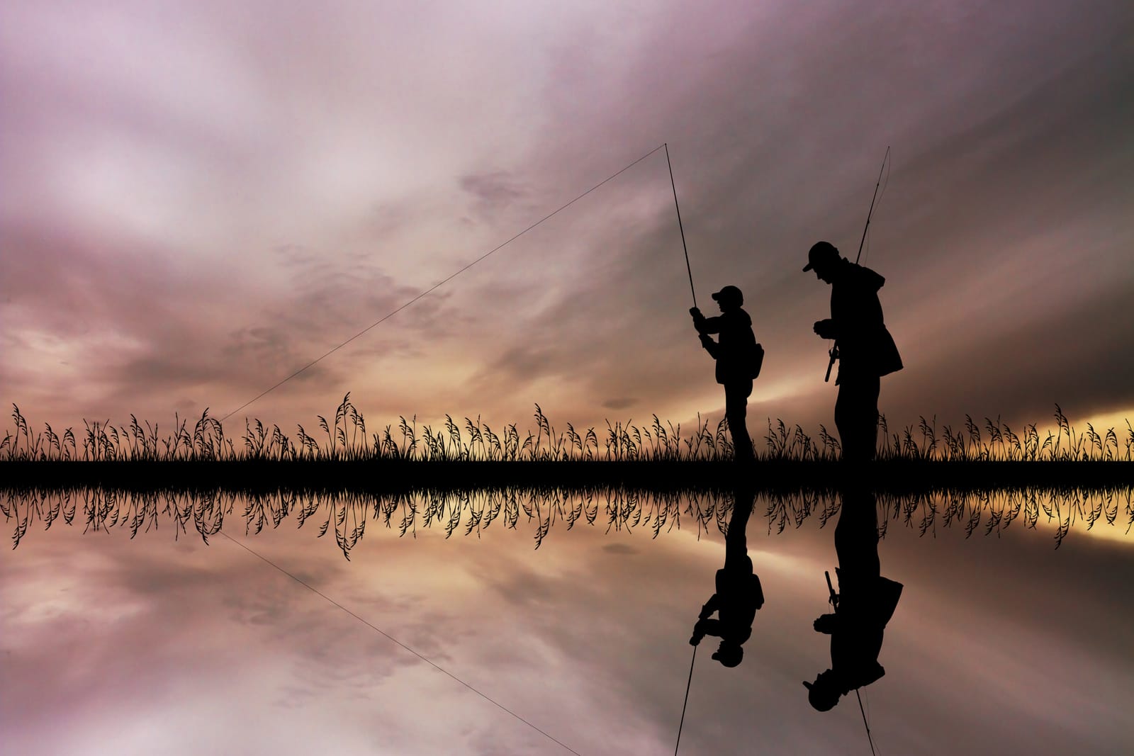 pêche en pleine nature