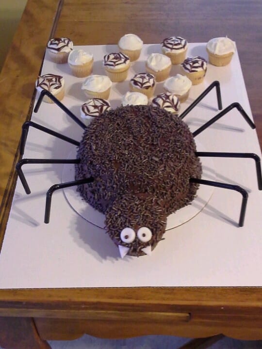 gâteau araignée