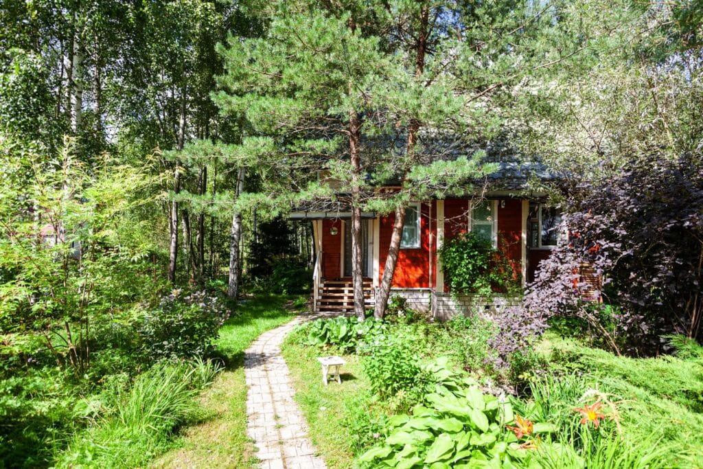 chalet bois 20m2