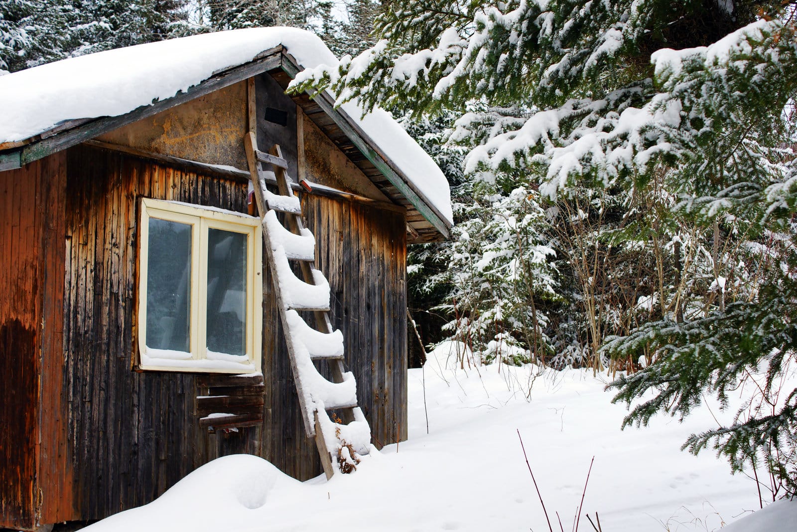 chalet bois 20m2