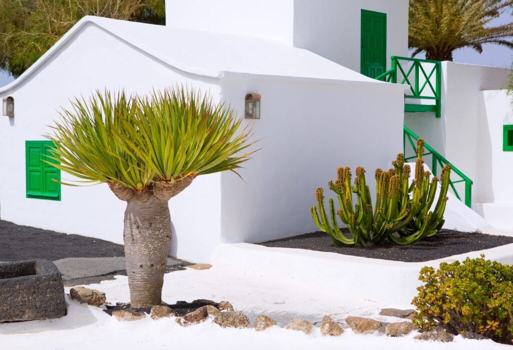 Lanzarote ou Ténérife : les meilleures périodes pour visiter les Canaries