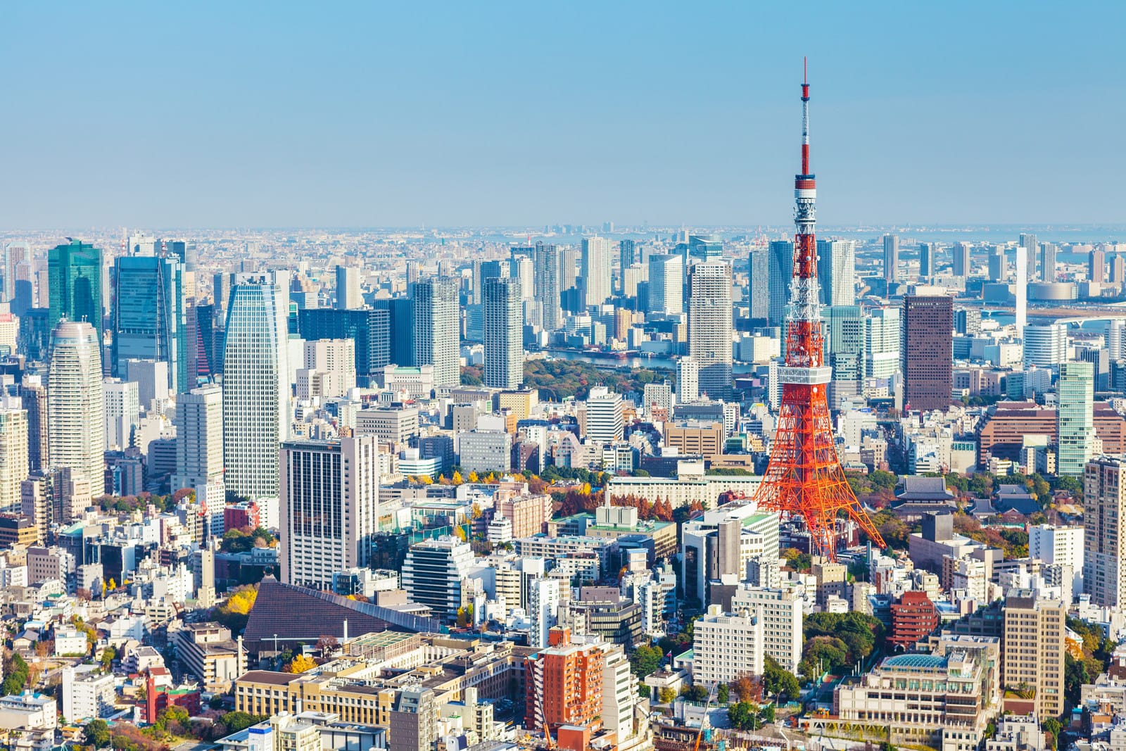 meilleure période pour partir à Tokyo au Japon