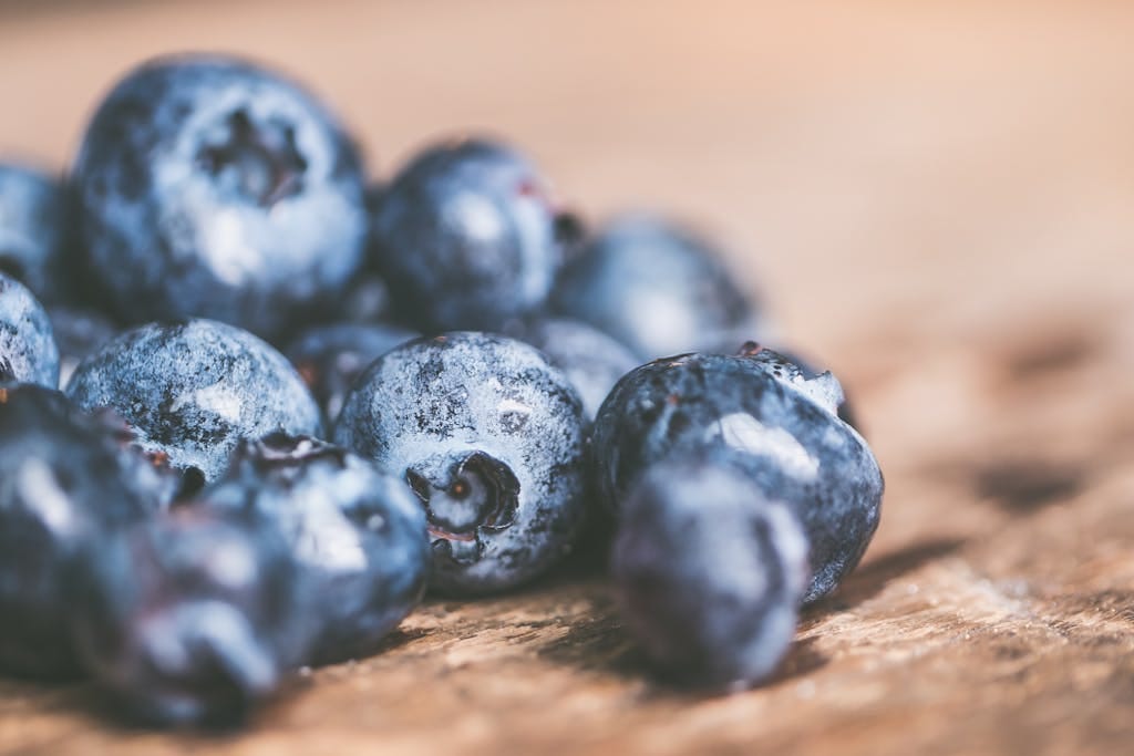 fruits bleus. Myrtille