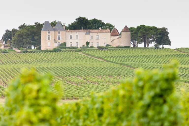 séjour dégustation des vins de Bordeaux