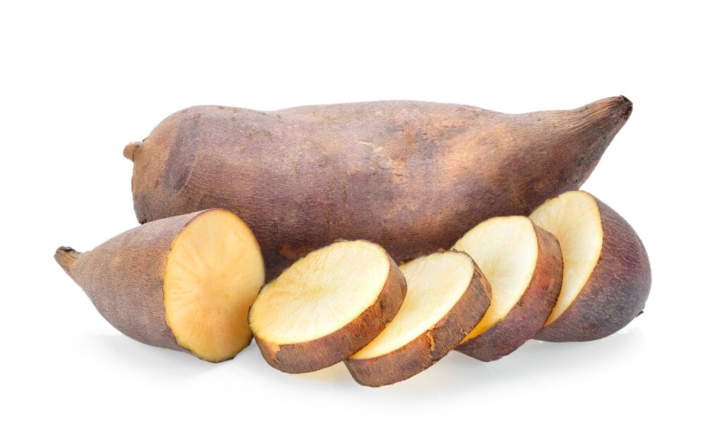 Yacon Poire de terre