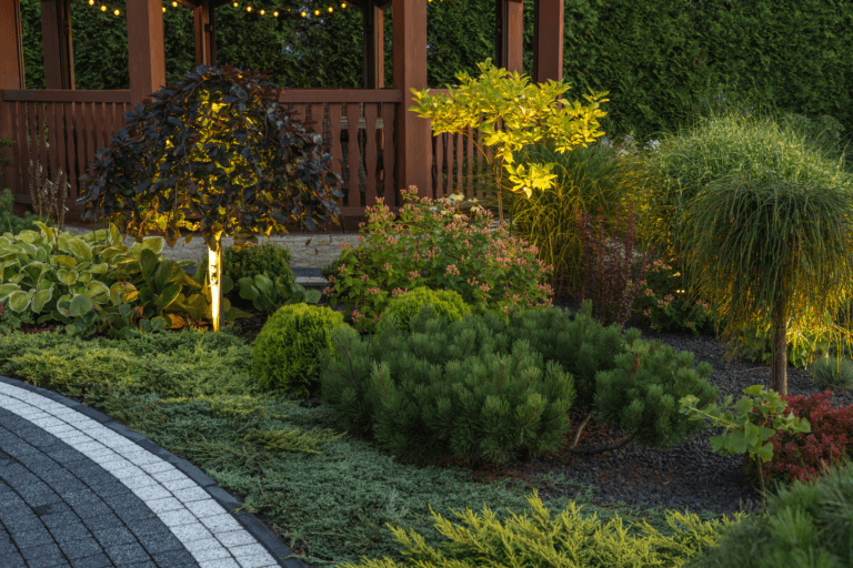 Les meilleures tendances de design pour votre jardin en 2026