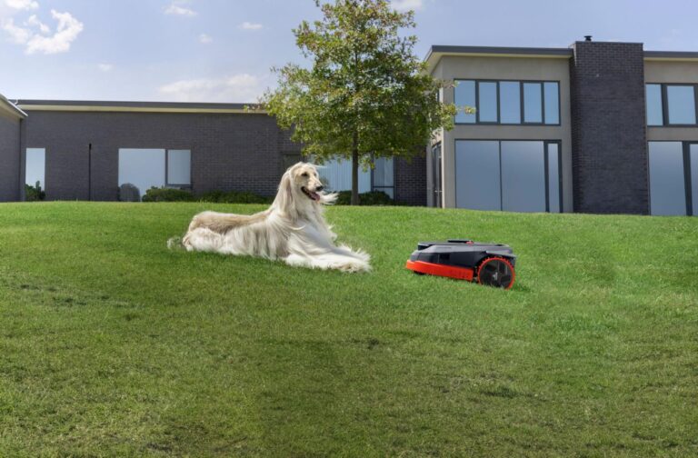 Cisaille, taille, détente : les outils indispensables à tout jardin moderne